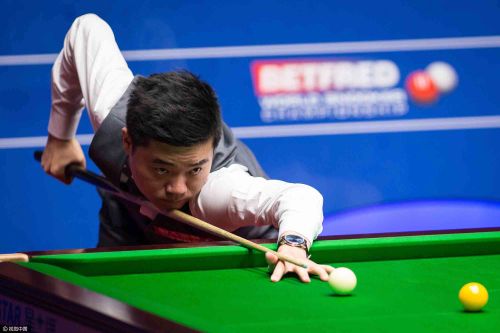 率书写了属 率书写了属